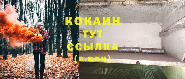 стаф Балахна