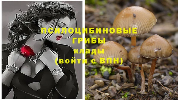 PSILOCYBIN Баксан