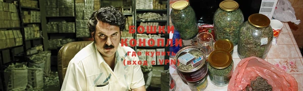 PSILOCYBIN Баксан