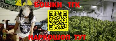 spice Новозыбков